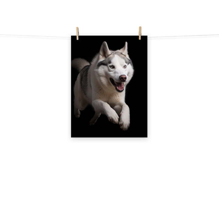 Siberian Husky Photo paper poster - PosterfyAI.com