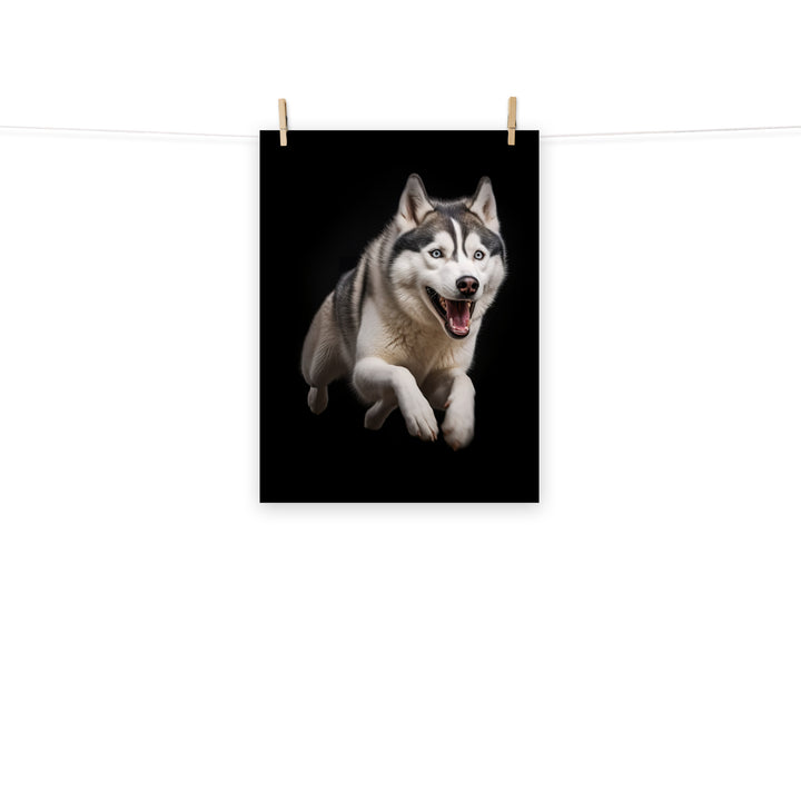 Siberian Husky Photo paper poster - PosterfyAI.com