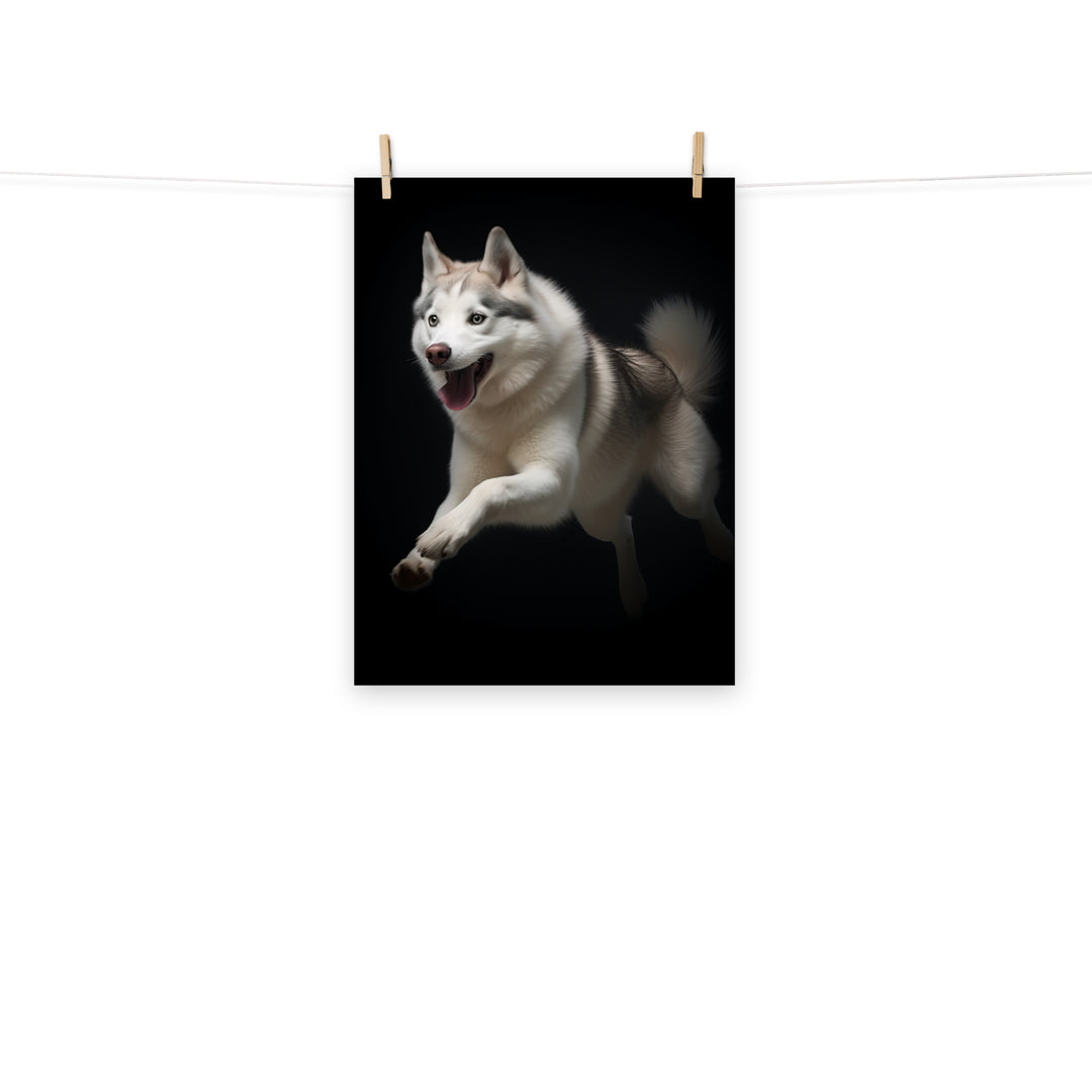 Siberian Husky Photo paper poster - PosterfyAI.com