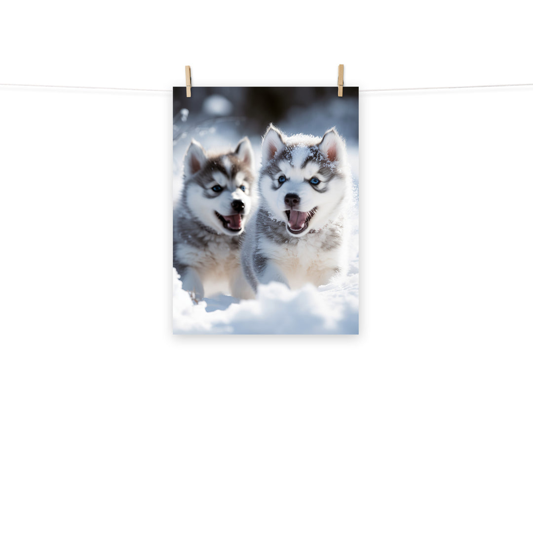 Siberian Husky Photo paper poster - PosterfyAI.com