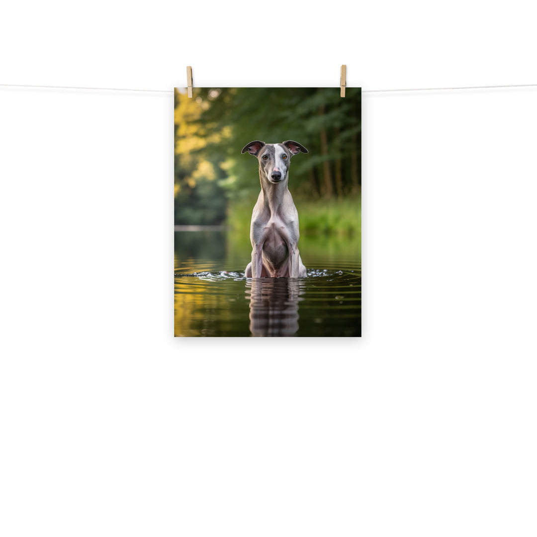 Whippet Photo paper poster - PosterfyAI.com