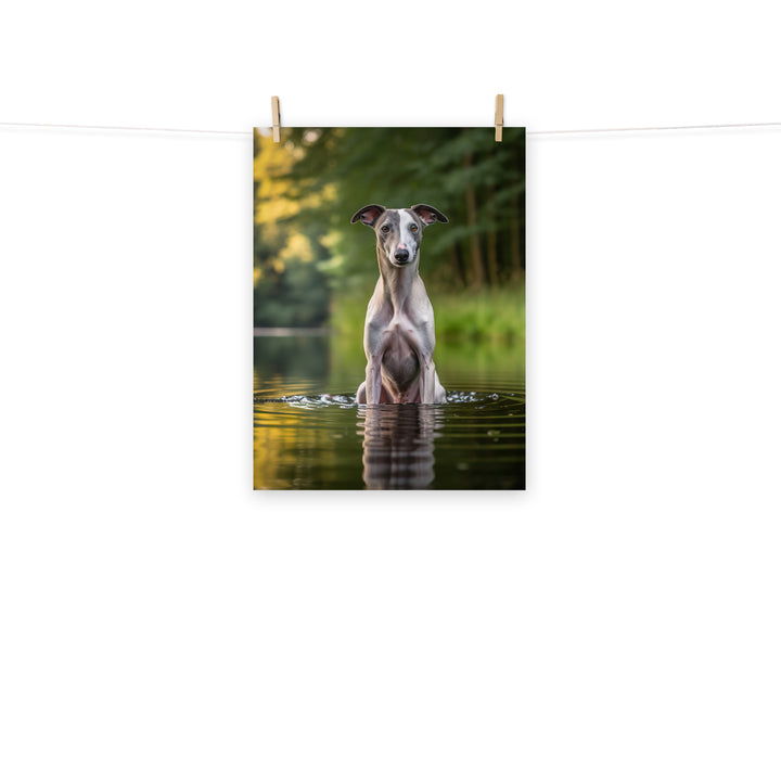 Whippet Photo paper poster - PosterfyAI.com