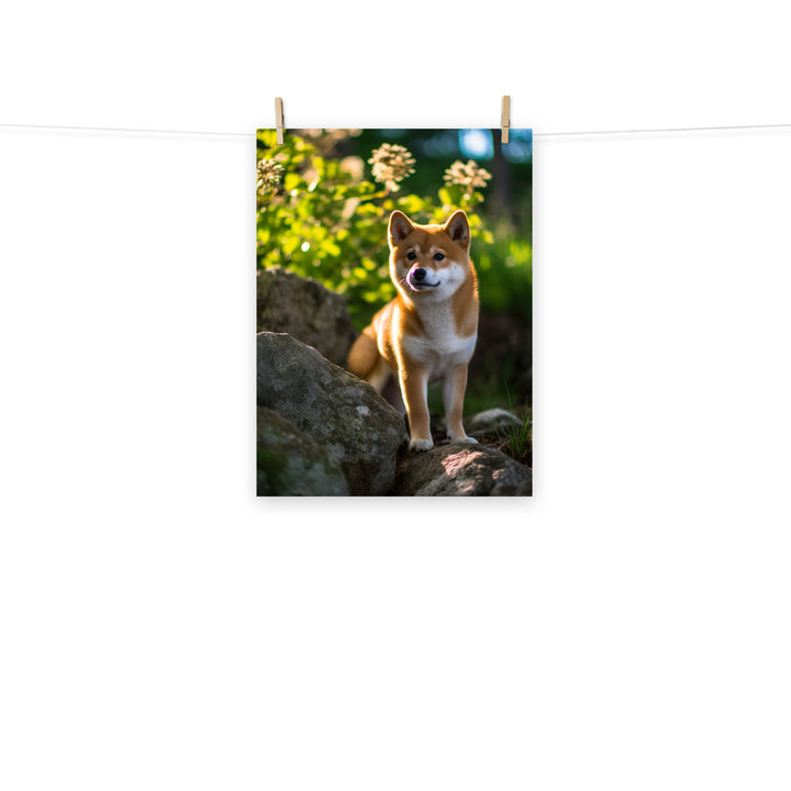 Shiba Inu Photo paper poster - PosterfyAI.com