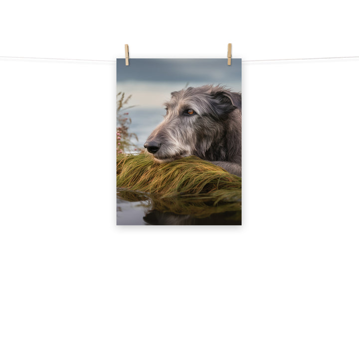 Scottish Deerhound Photo paper poster - PosterfyAI.com