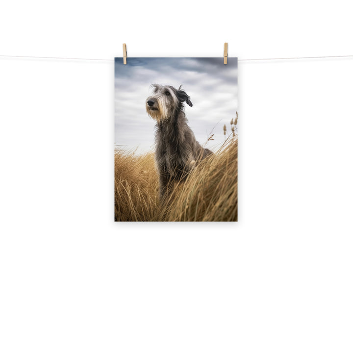 Scottish Deerhound Photo paper poster - PosterfyAI.com