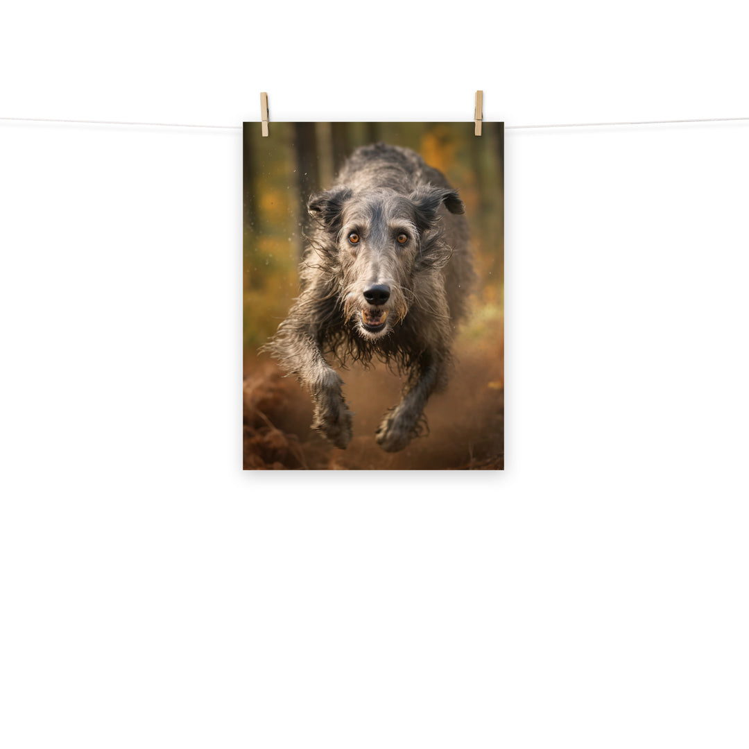 Scottish Deerhound Photo paper poster - PosterfyAI.com