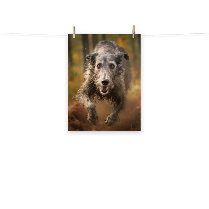 Scottish Deerhound Photo paper poster - PosterfyAI.com