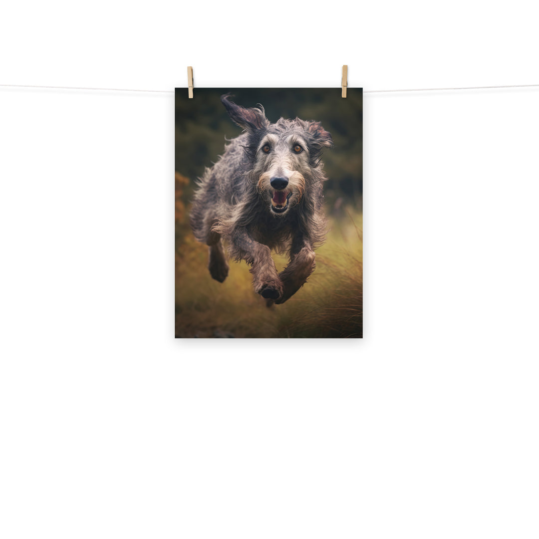 Scottish Deerhound Photo paper poster - PosterfyAI.com