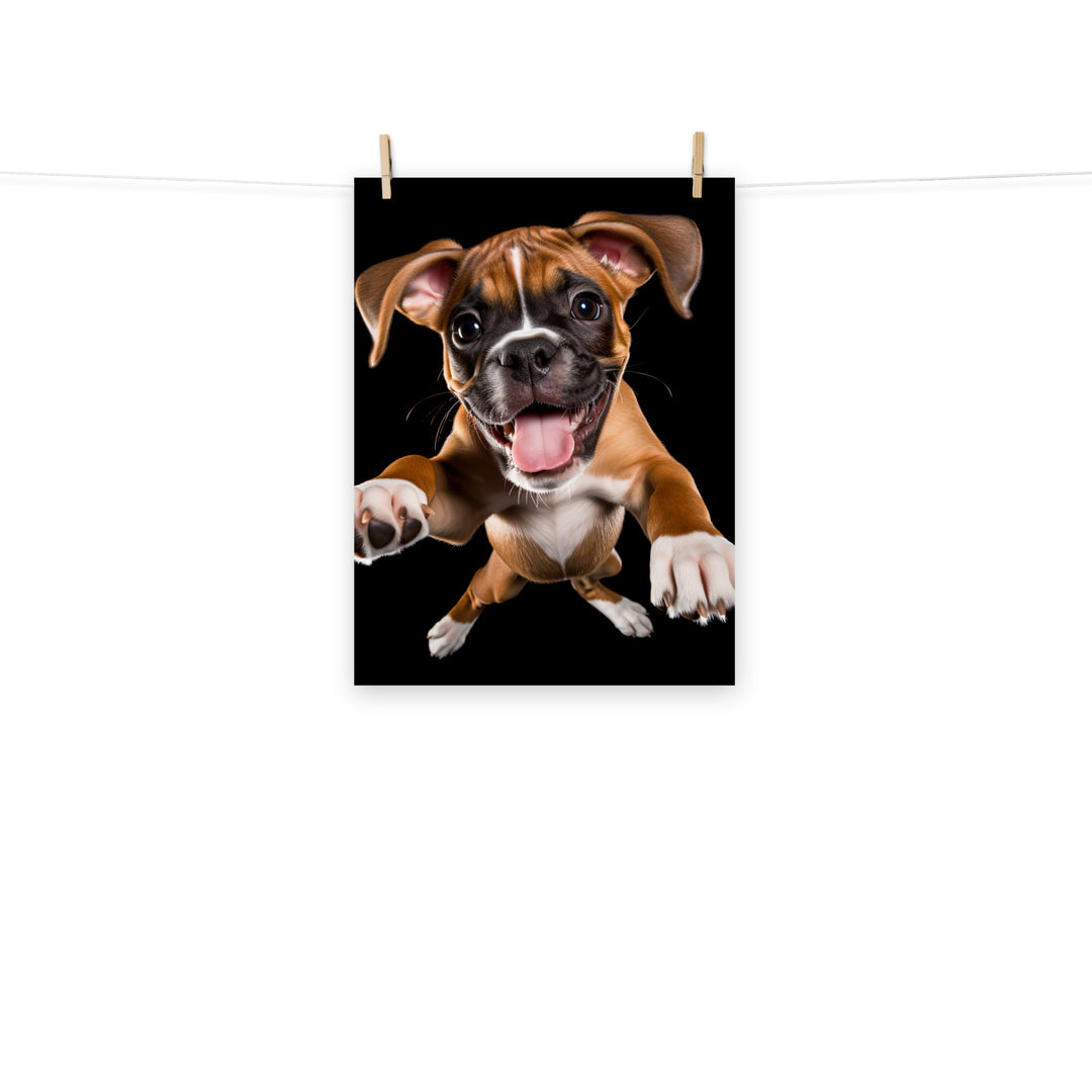 Boxer Photo paper poster - PosterfyAI.com