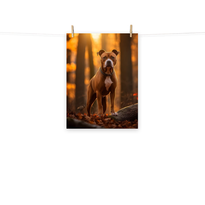 American Staffordshire Terrier Photo paper poster - PosterfyAI.com