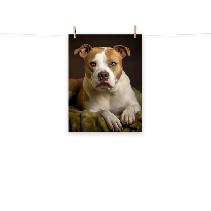 American Staffordshire Terrier Photo paper poster - PosterfyAI.com