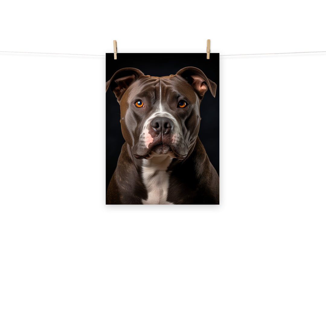 American Staffordshire Terrier Photo paper poster - PosterfyAI.com