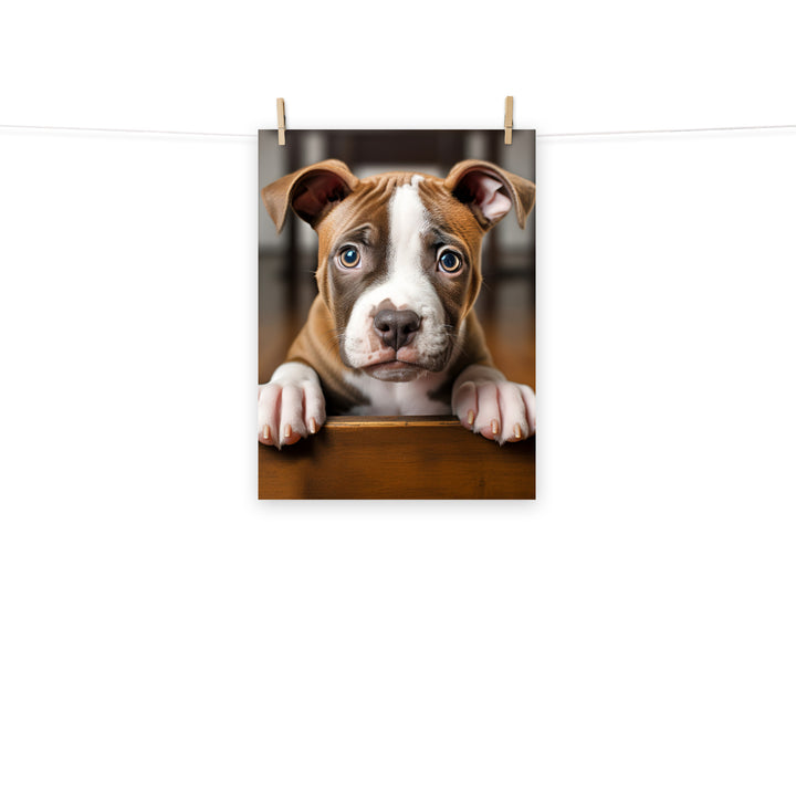 American Staffordshire Terrier Photo paper poster - PosterfyAI.com