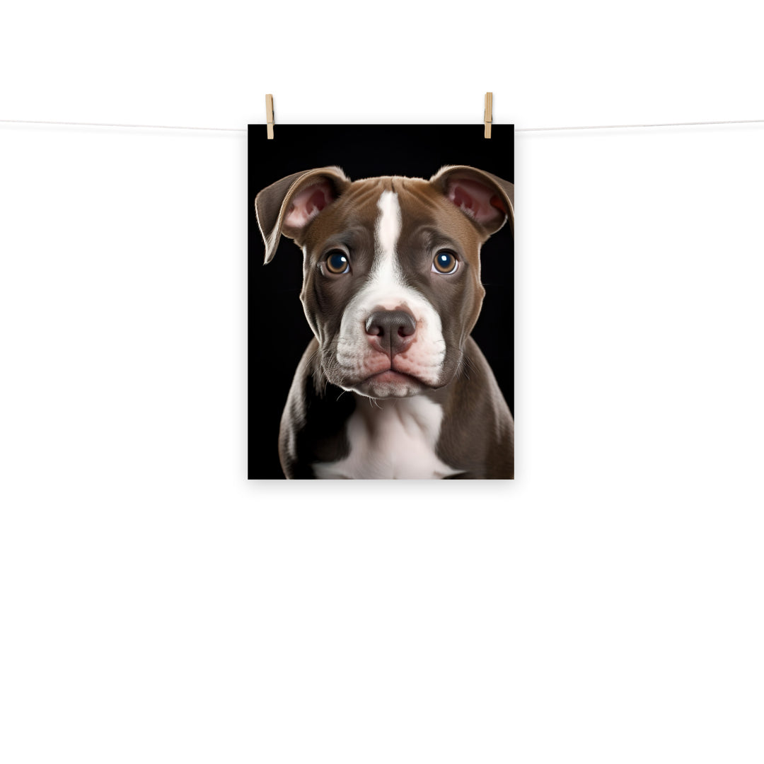 American Staffordshire Terrier Photo paper poster - PosterfyAI.com