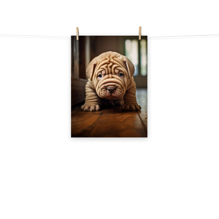 Shar Pei Photo paper poster - PosterfyAI.com