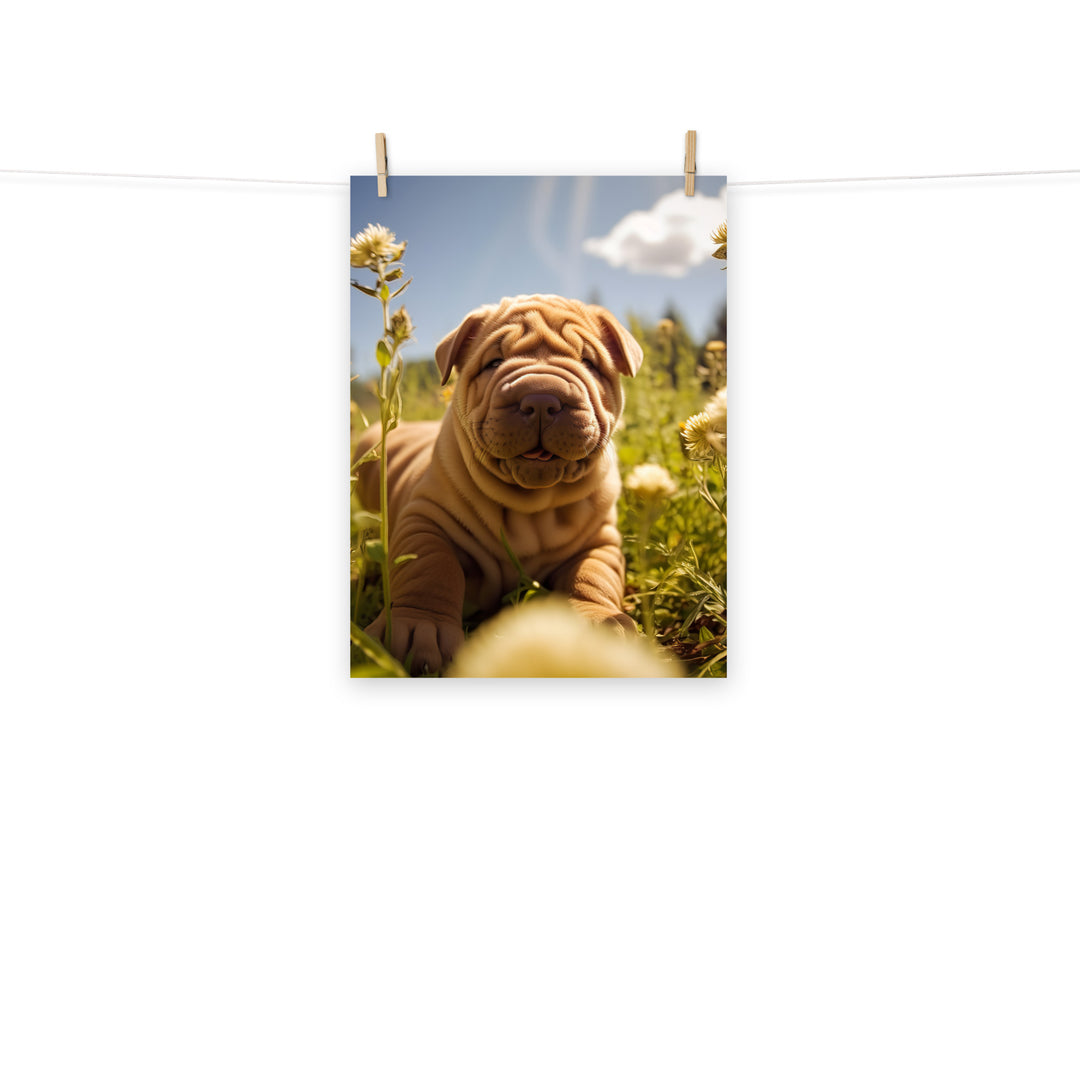 Shar Pei Photo paper poster - PosterfyAI.com