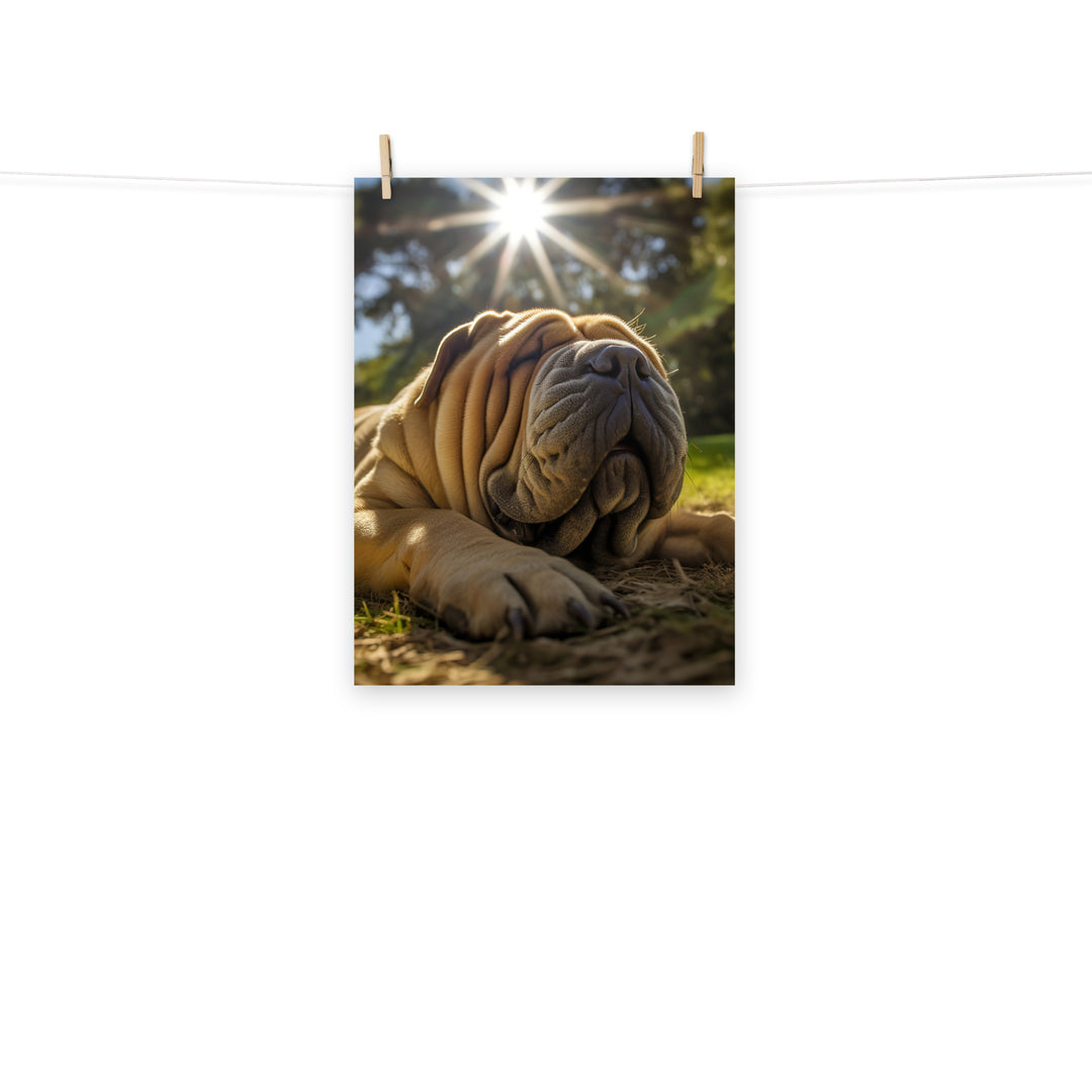 Shar Pei Photo paper poster - PosterfyAI.com