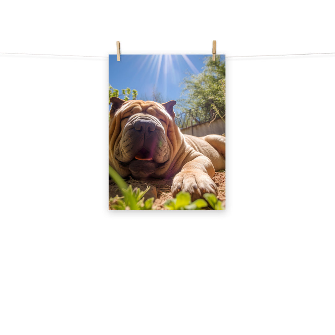 Shar Pei Photo paper poster - PosterfyAI.com