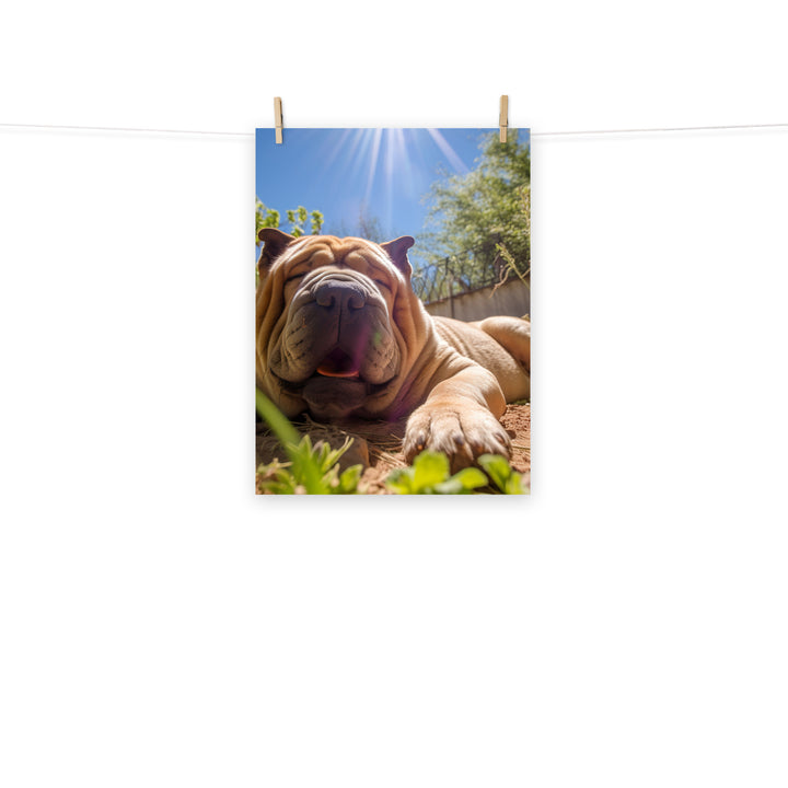 Shar Pei Photo paper poster - PosterfyAI.com