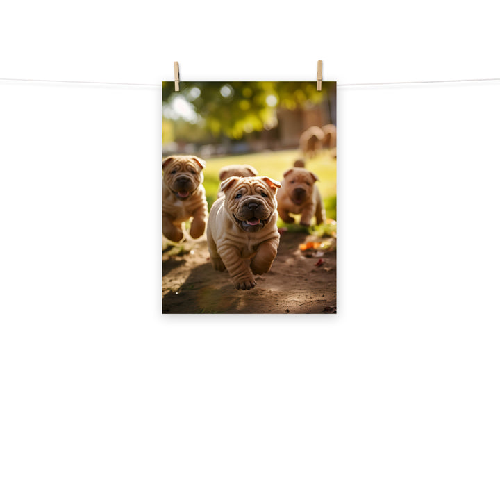 Shar Pei Photo paper poster - PosterfyAI.com