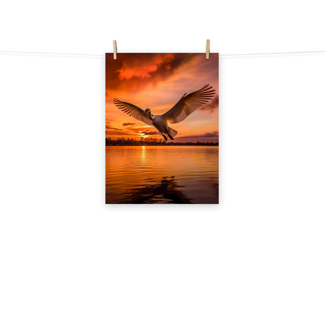 Swan Photo paper poster - PosterfyAI.com