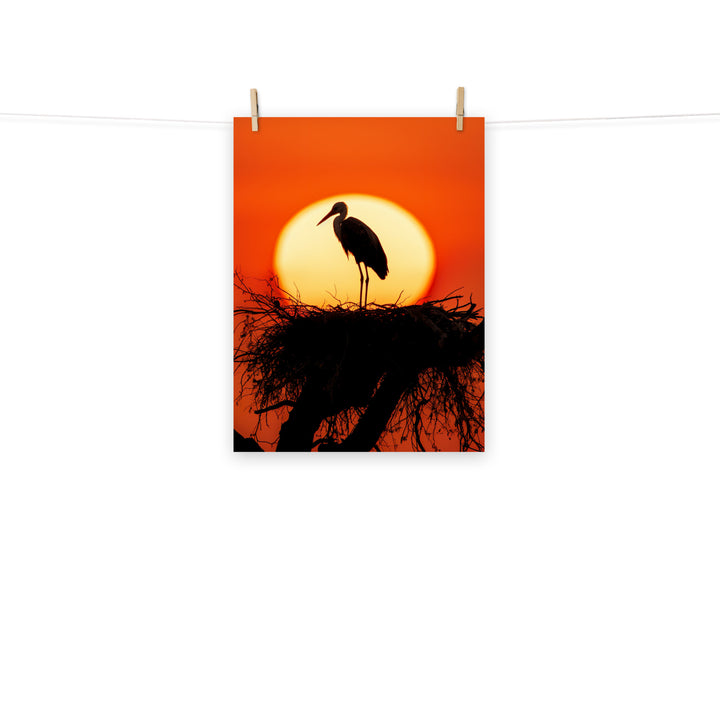 Stork Photo paper poster - PosterfyAI.com