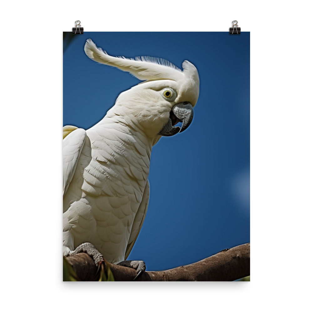 Snowy White Cockatoo Photo paper poster - PosterfyAI.com