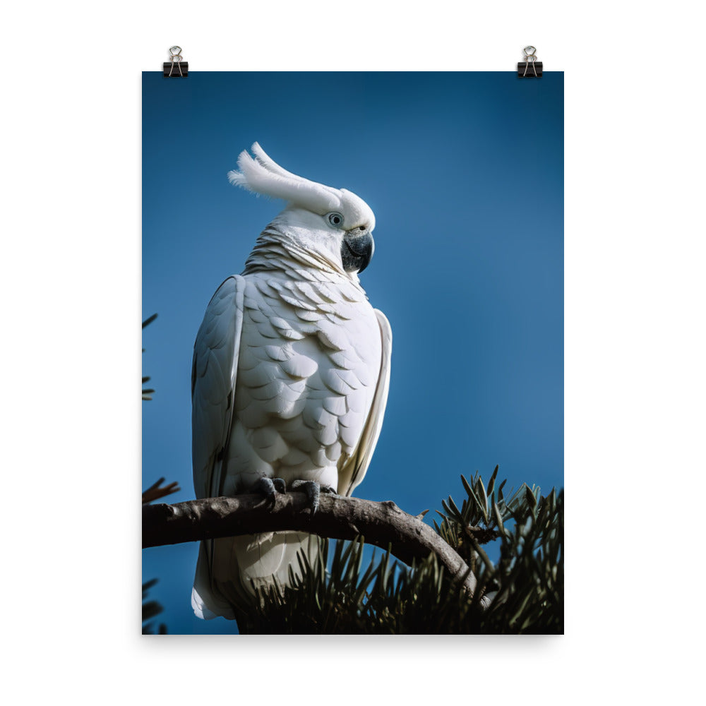 Snowy White Cockatoo Photo paper poster - PosterfyAI.com