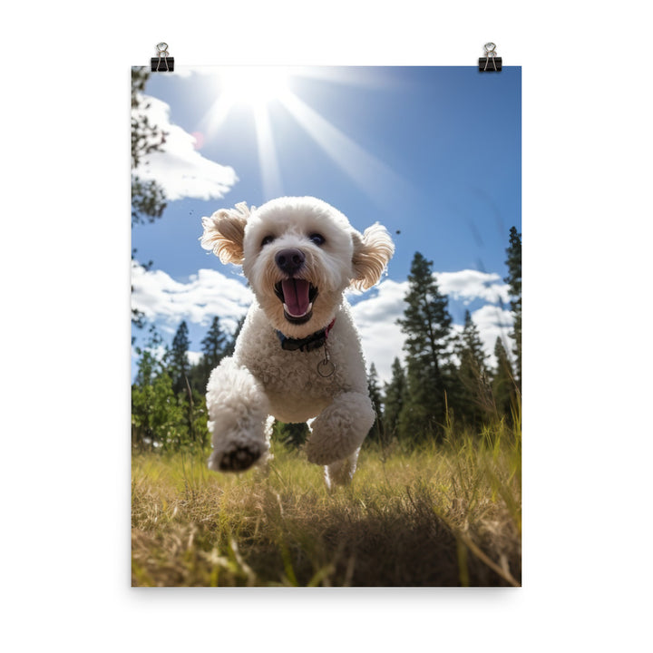 The Playful Poodle Photo paper poster - PosterfyAI.com