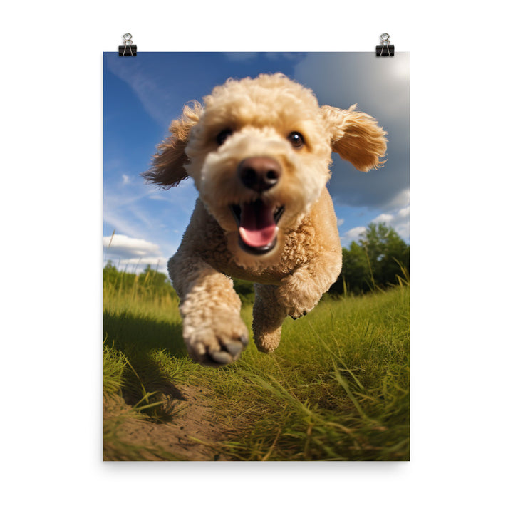 The Playful Poodle Photo paper poster - PosterfyAI.com