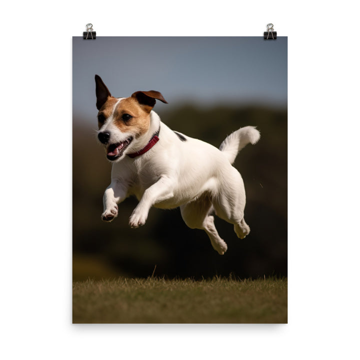 Spirited Jack Russell Terrier at Play Photo paper poster - PosterfyAI.com