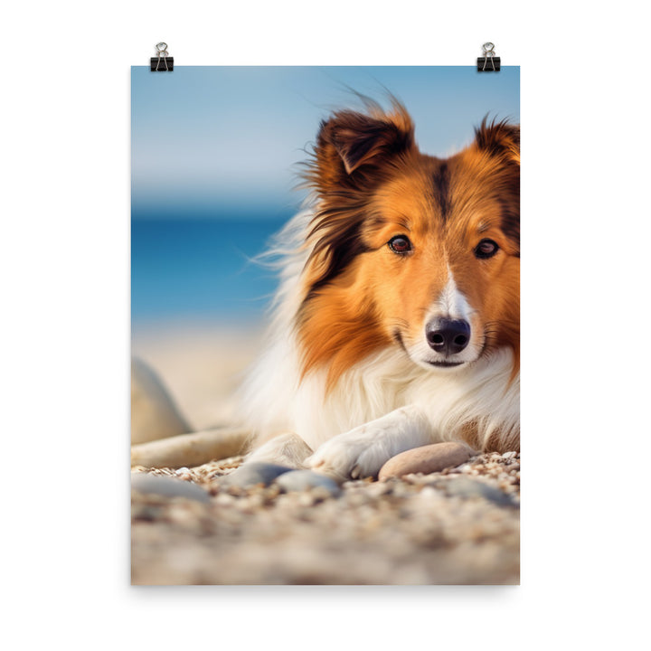 Shetland Sheepdog Relaxing on the Beach Photo paper poster - PosterfyAI.com