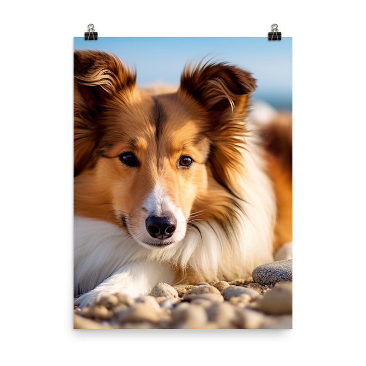 Shetland Sheepdog Relaxing on the Beach Photo paper poster - PosterfyAI.com