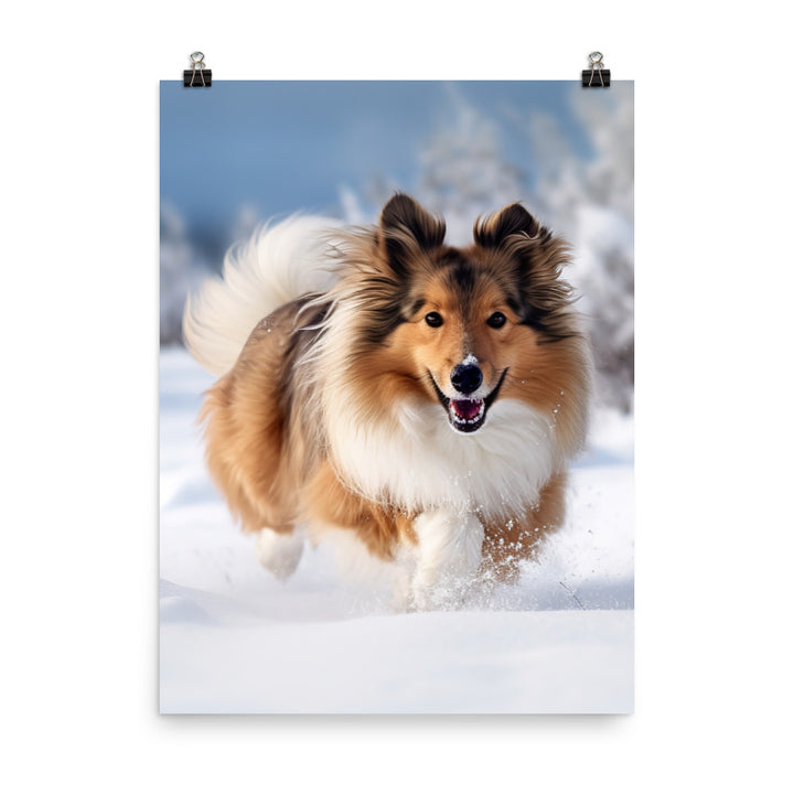 Shetland Sheepdog Playing in the Snow Photo paper poster - PosterfyAI.com