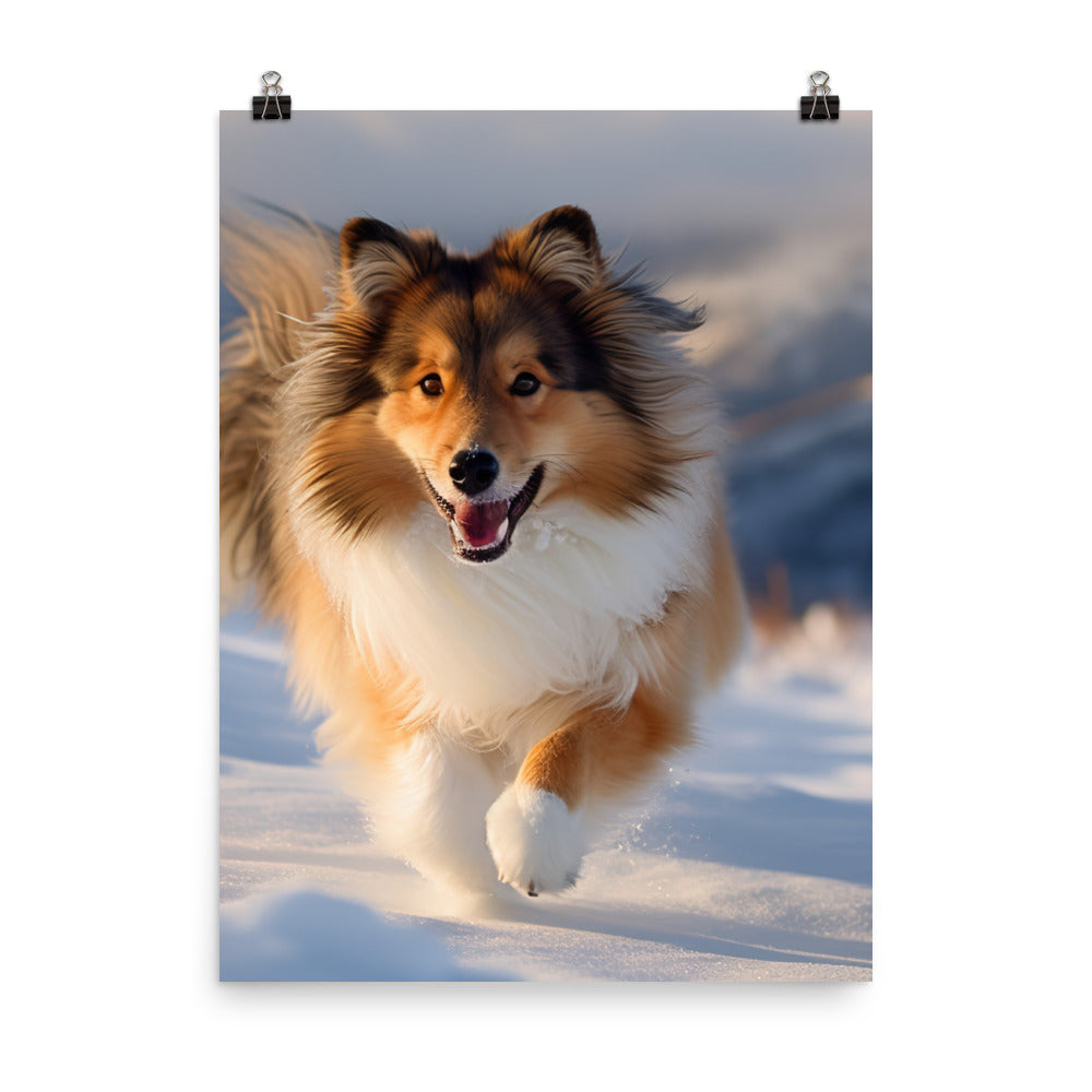 Shetland Sheepdog Playing in the Snow Photo paper poster - PosterfyAI.com