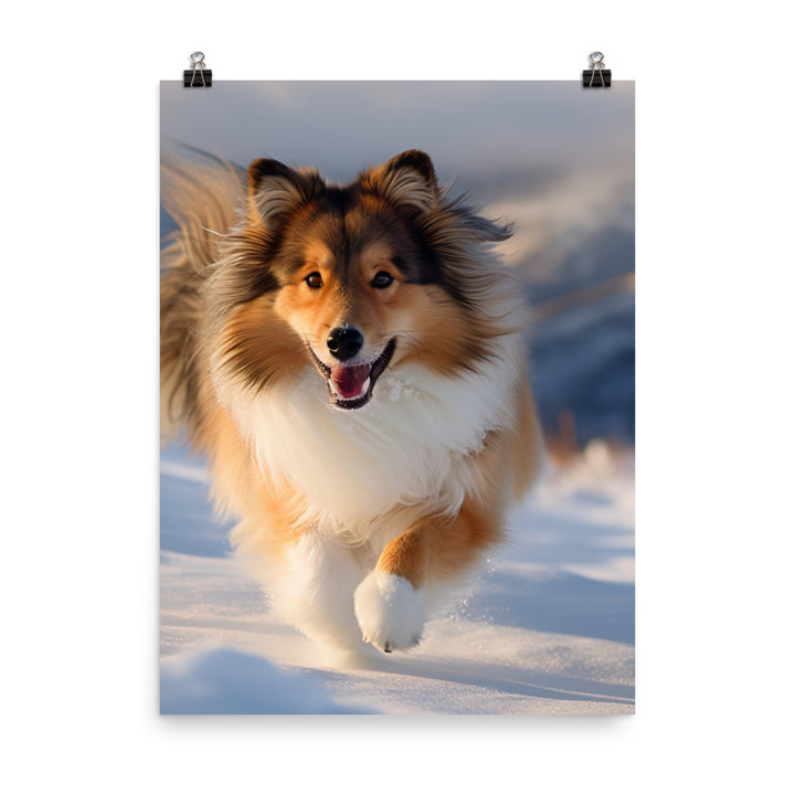 Shetland Sheepdog Playing in the Snow Photo paper poster - PosterfyAI.com