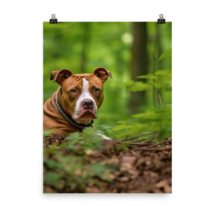 Serene American Staffordshire Terrier Photo paper poster - PosterfyAI.com
