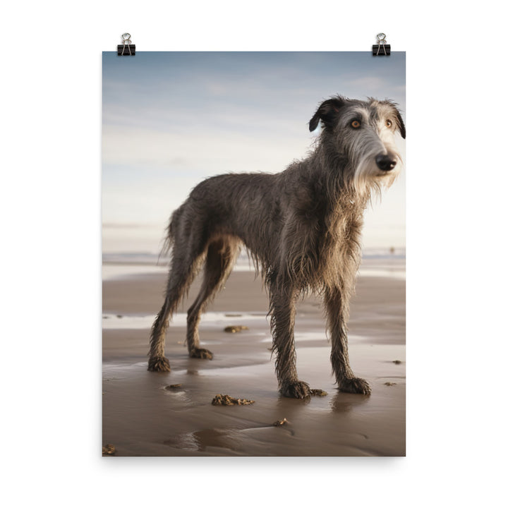 Scottish Deerhound on the Beach Photo paper poster - PosterfyAI.com