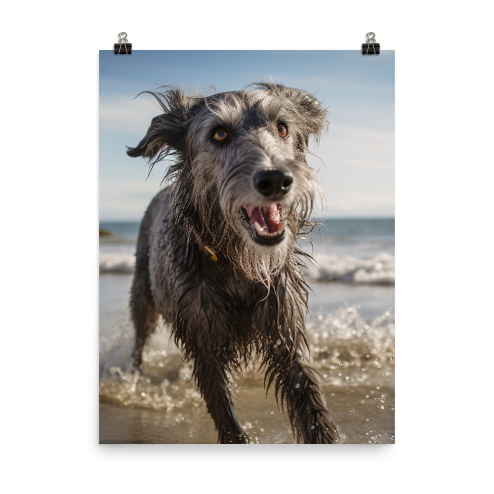 Scottish Deerhound on the Beach Photo paper poster - PosterfyAI.com