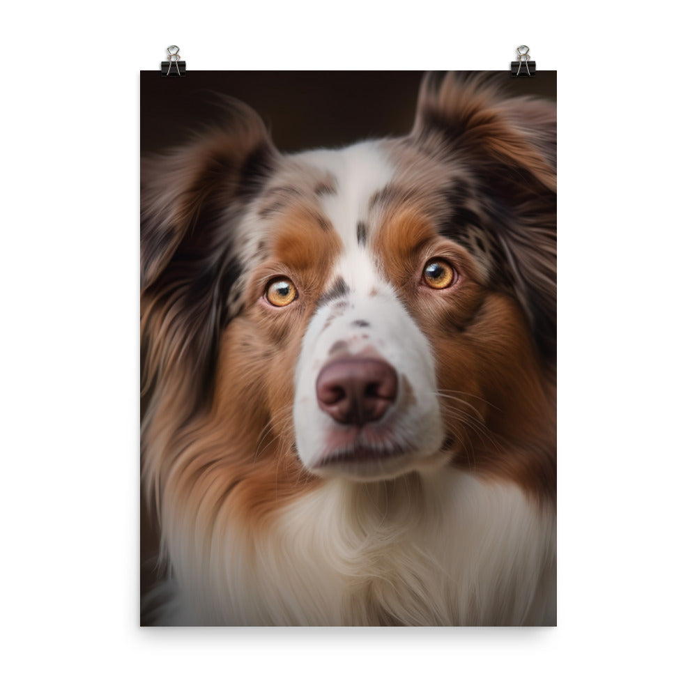 Australian Shepherd Photo paper poster - PosterfyAI.com