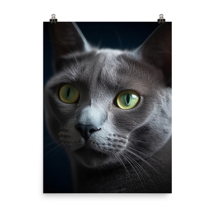 Beauty of Russian Blue Cat Photo paper poster - PosterfyAI.com