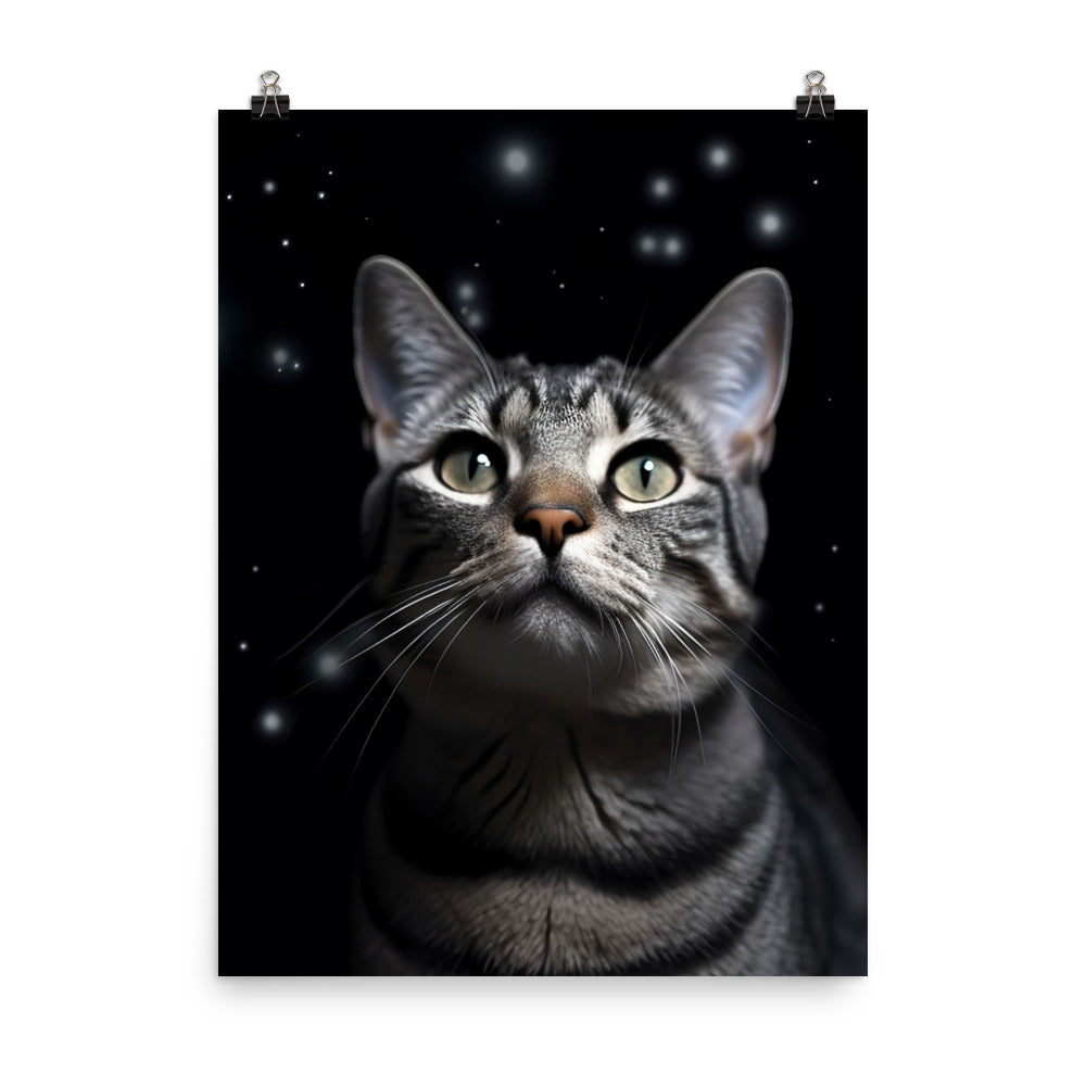 American Shorthair Cat Photo paper poster - PosterfyAI.com