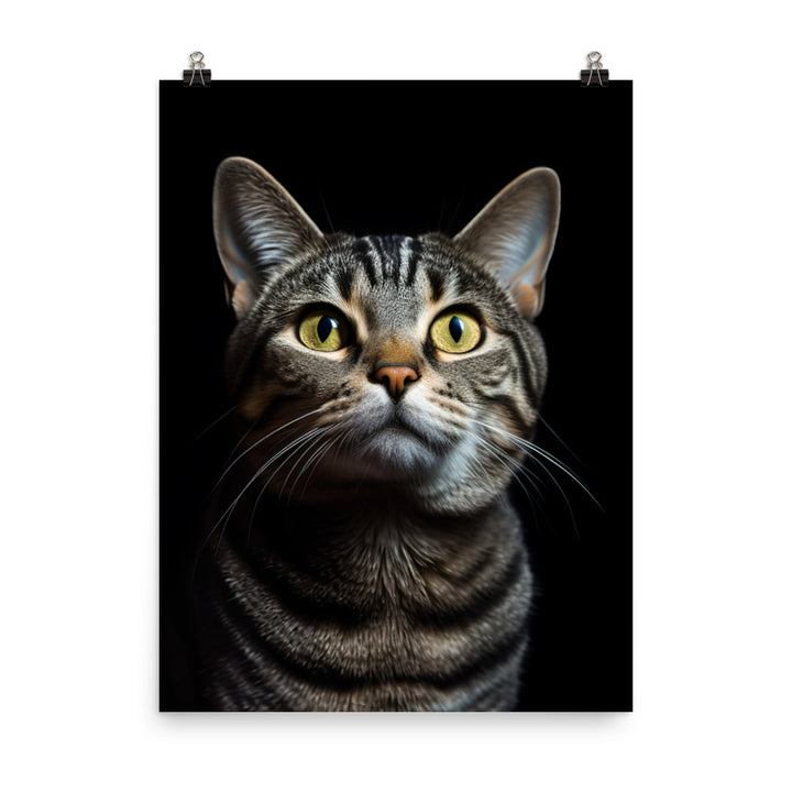 American Shorthair Cat Photo paper poster - PosterfyAI.com