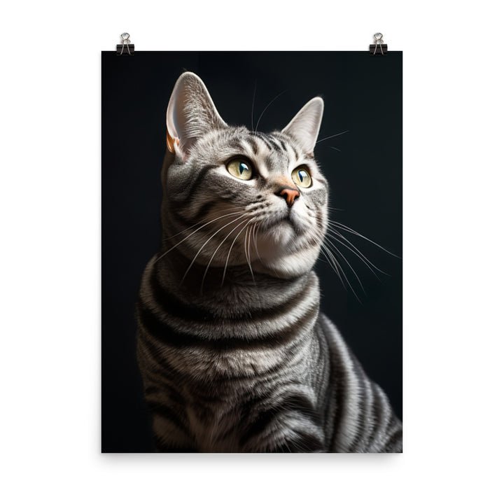 American Shorthair Cat Photo paper poster - PosterfyAI.com