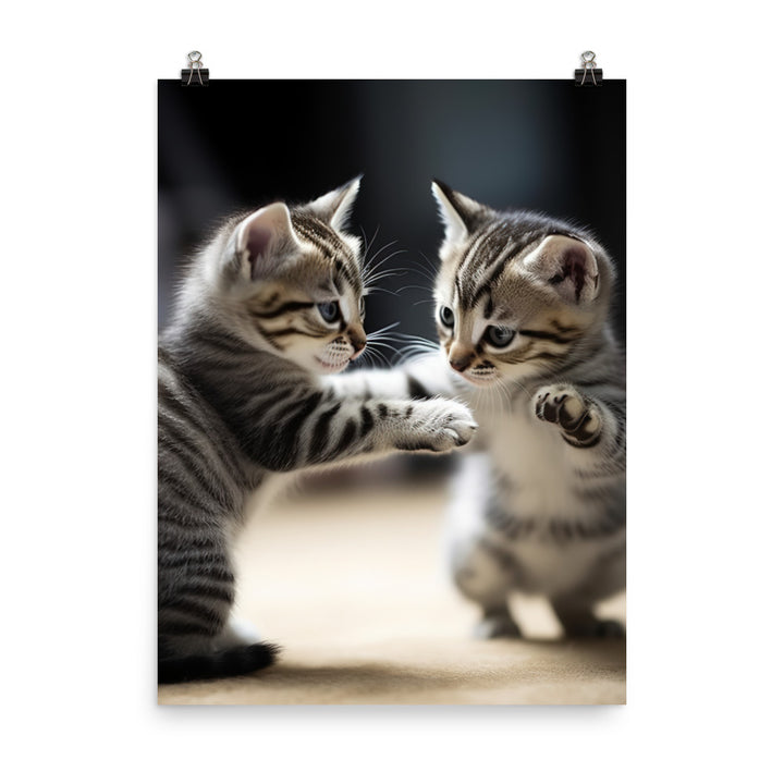 American Shorthair Cat Photo paper poster - PosterfyAI.com