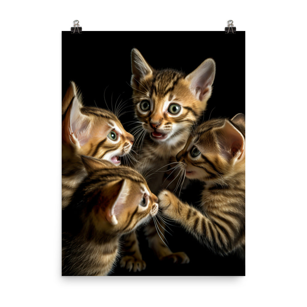 Bengal Kitten Photo paper poster - PosterfyAI.com