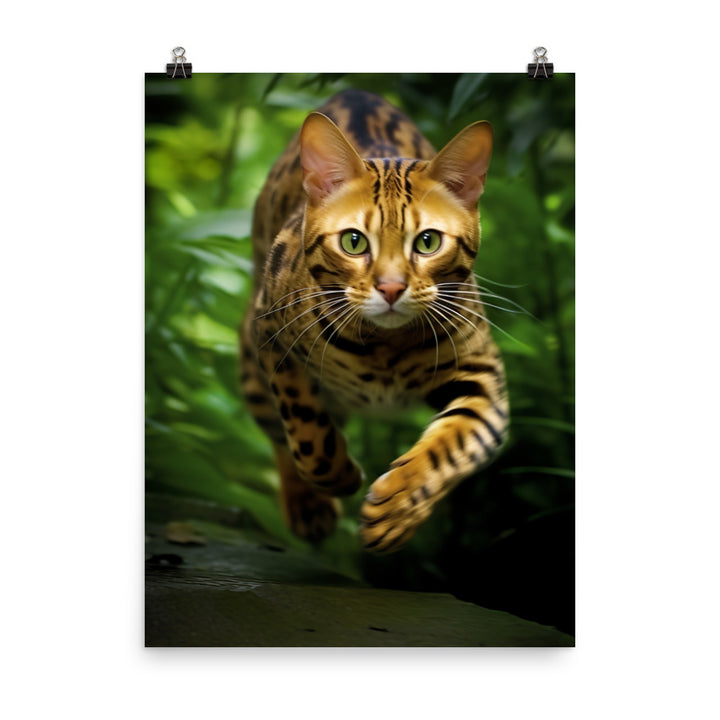 Bengal Cat Hunting Adventure Photo paper poster - PosterfyAI.com