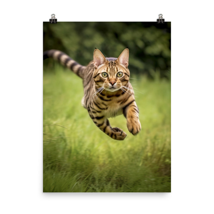 Bengal Cat Hunting Adventure Photo paper poster - PosterfyAI.com
