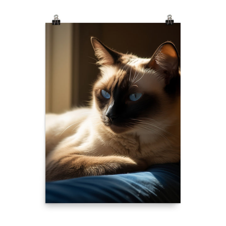Siamese Serenity Photo paper poster - PosterfyAI.com