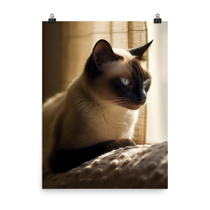Siamese Serenity Photo paper poster - PosterfyAI.com